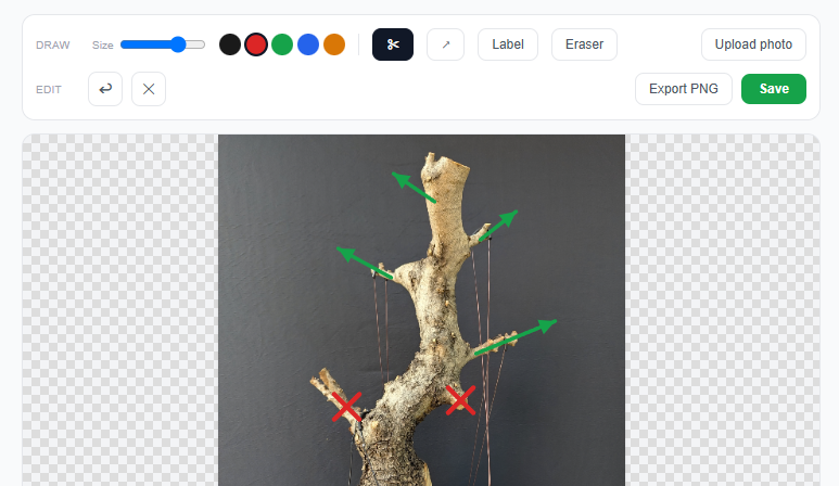 Planner canvas showing a bonsai photo annotated with cut markers and directional arrows